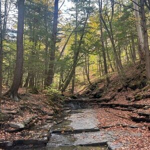 Meet your Posher, Liam